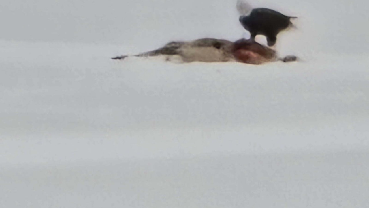 Photo of Others in Washburn