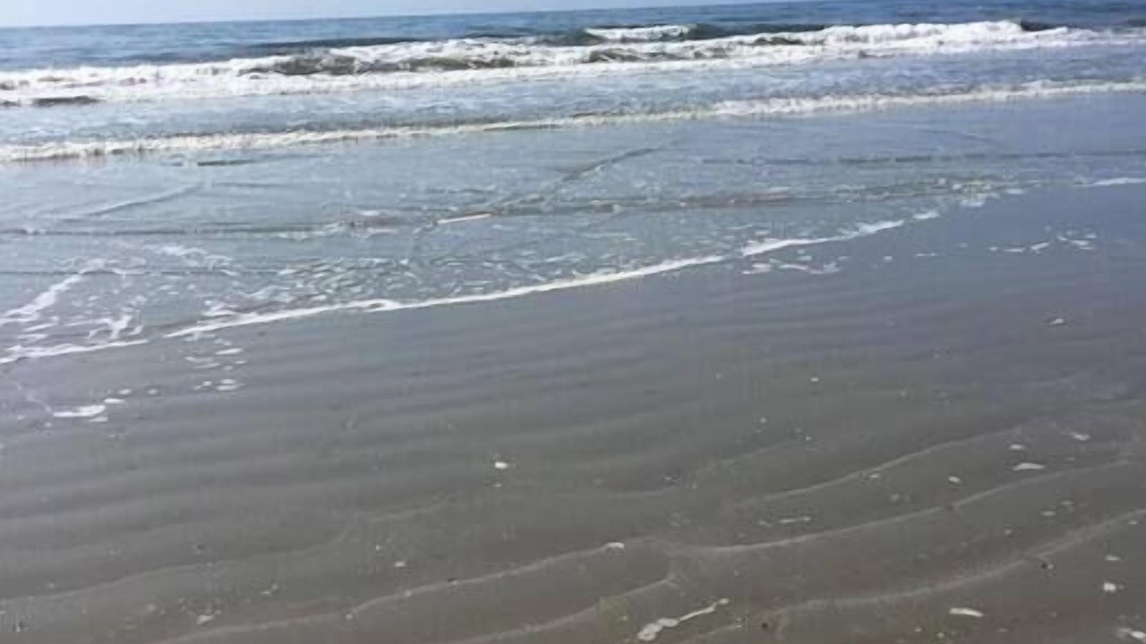 Photo of Others in Central Myrtle Beach
