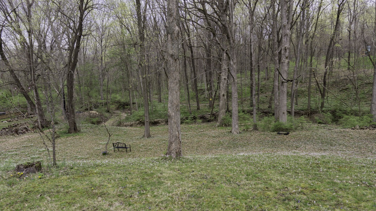 Photo of Outdoor in Battle Ground