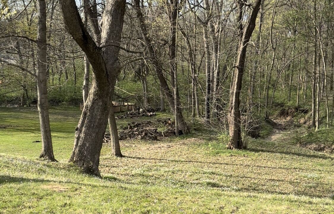 Photo of Outdoor in Battle Ground