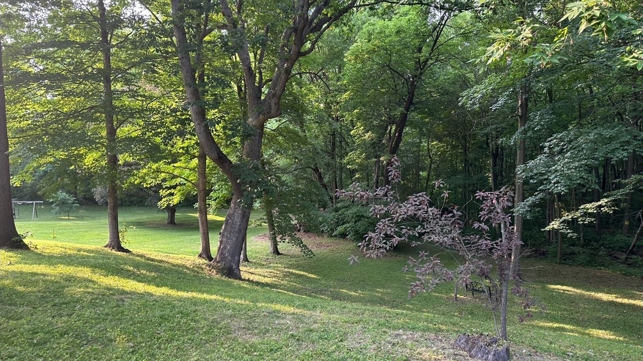 Photo of Outdoor in Battle Ground