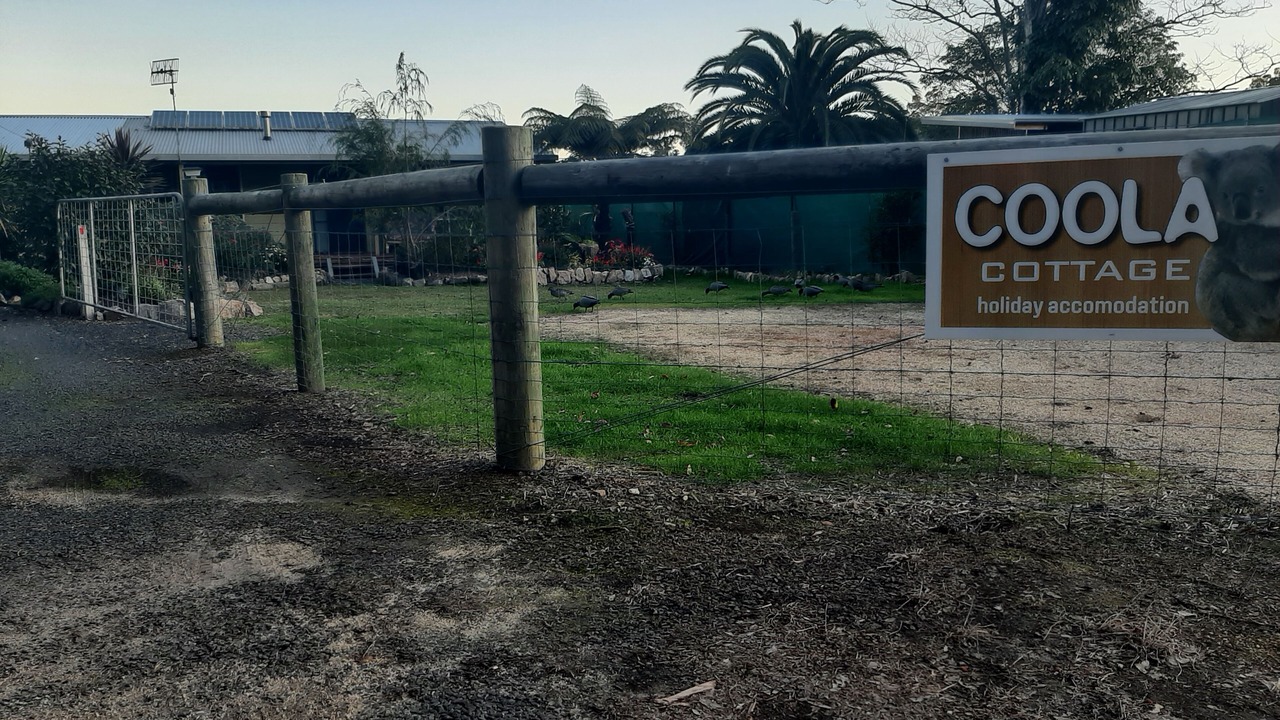 Photo of Outdoor in Mallacoota