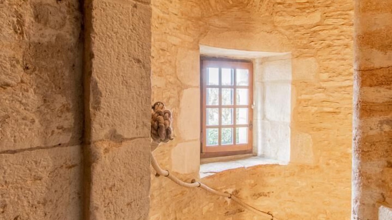 Photo of Others in Dracy-le-Fort