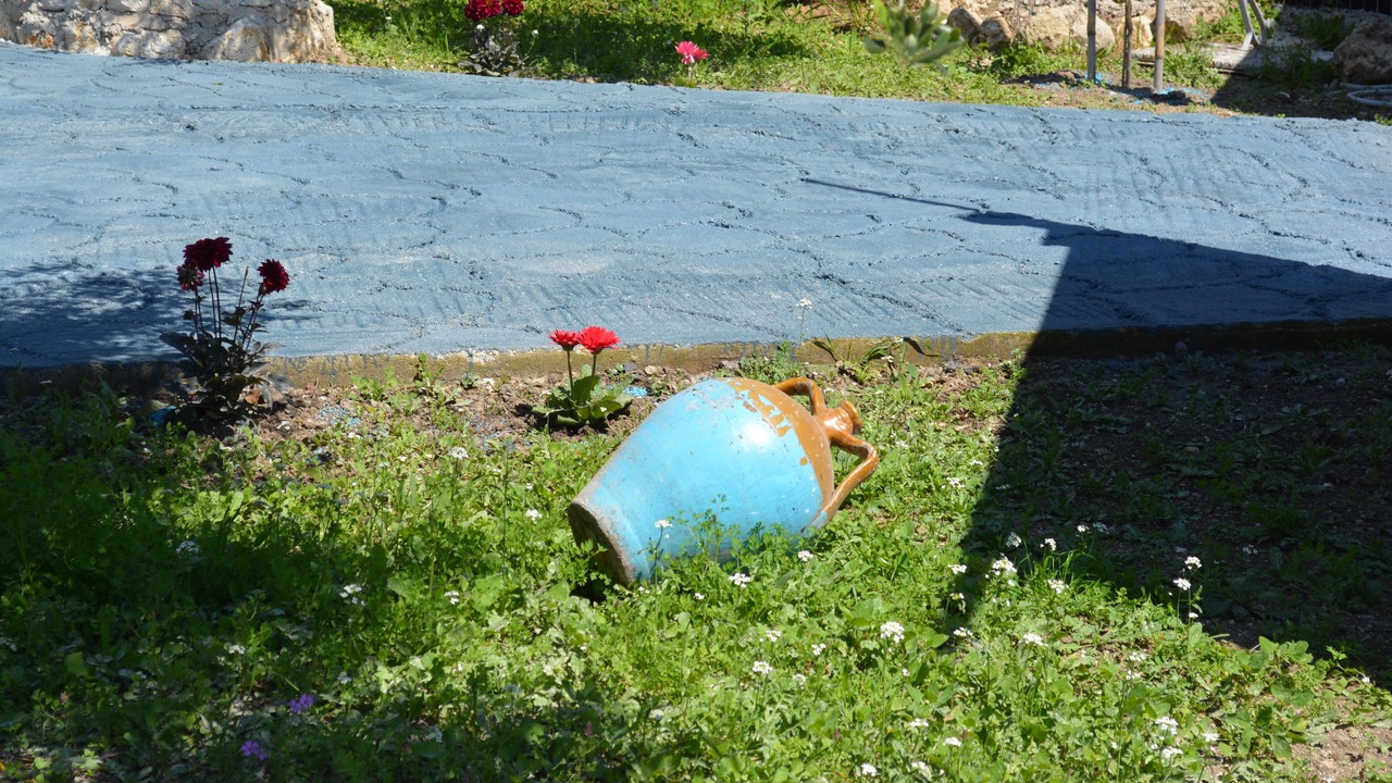 Photo of Outdoor in Dafnata