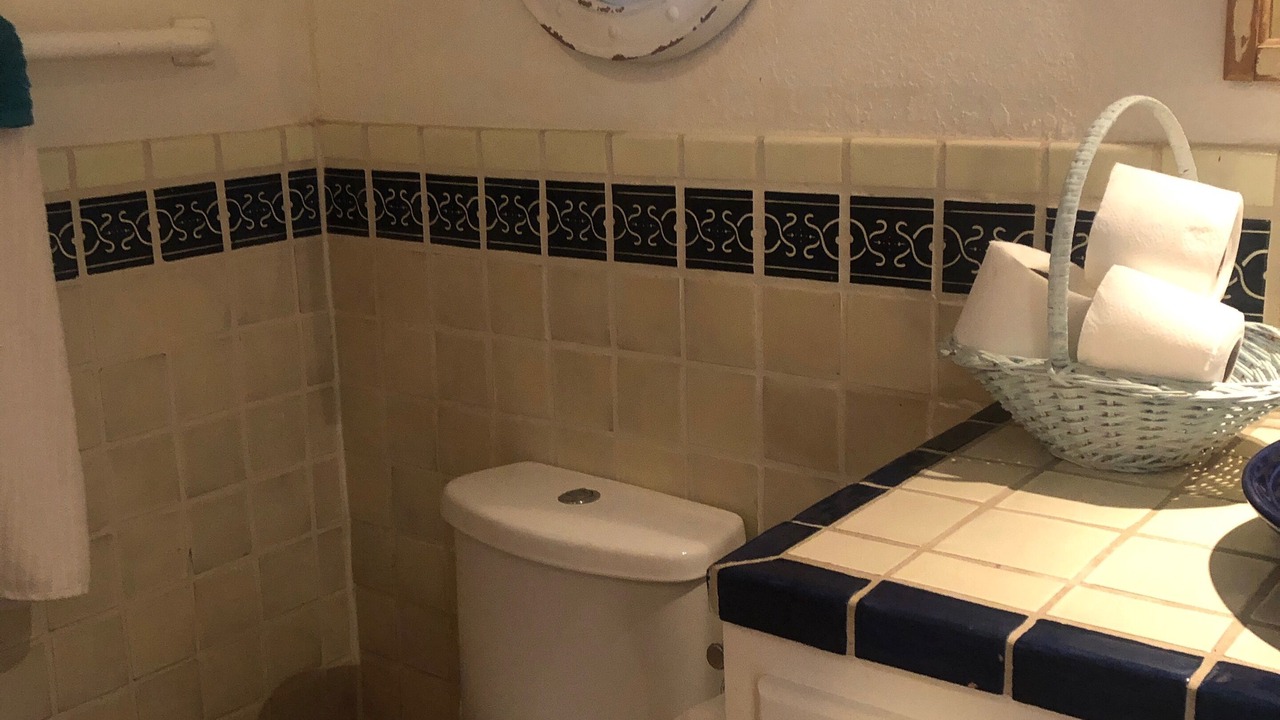 Photo of Bathroom in Lengueta Arenosa