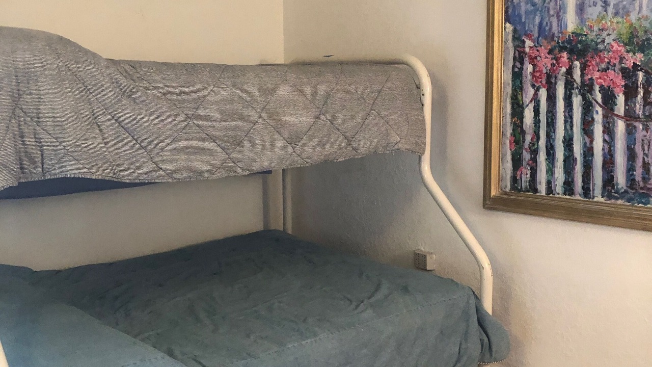 Photo of Others in Lengueta Arenosa