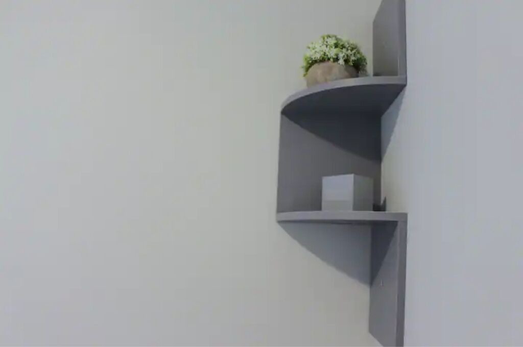 Photo of Others in Downtown Albany