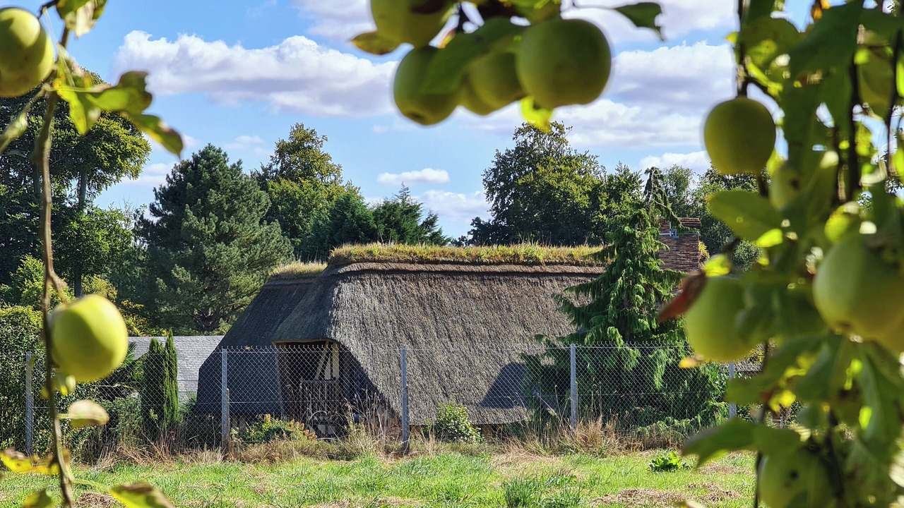 Photo of Outdoor in Sainte-Helene-Bondeville
