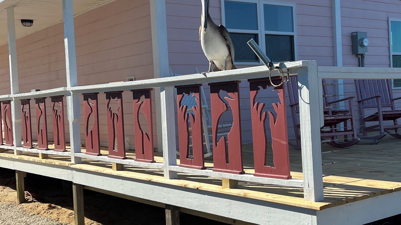 Photo of Outdoor in Long Beach