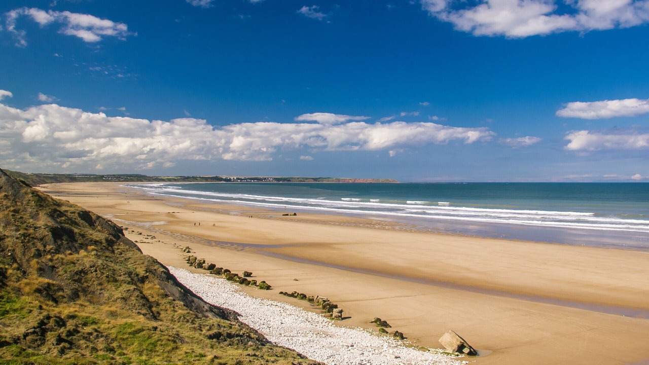 Photo of Others in Low Catton