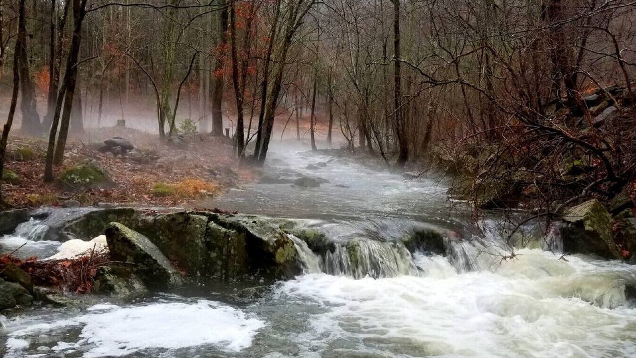 Photo of Others in Stanardsville