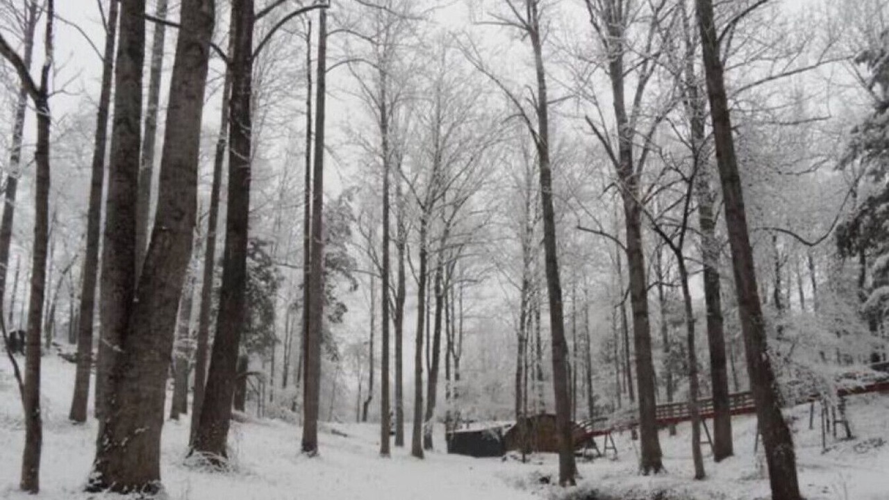 Photo of Others in Stanardsville