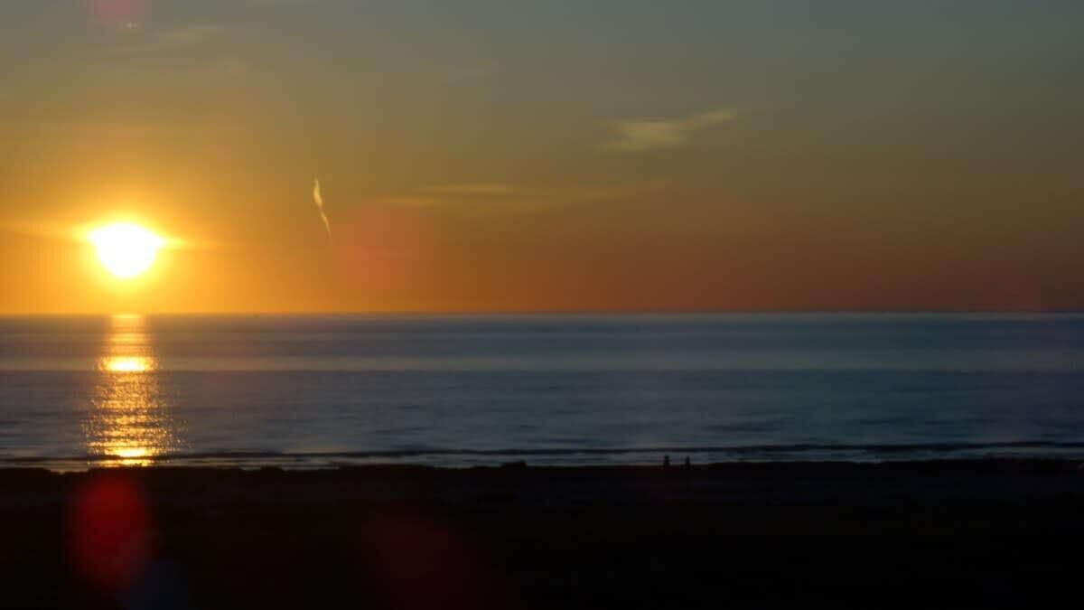 Photo of Others in Largs North