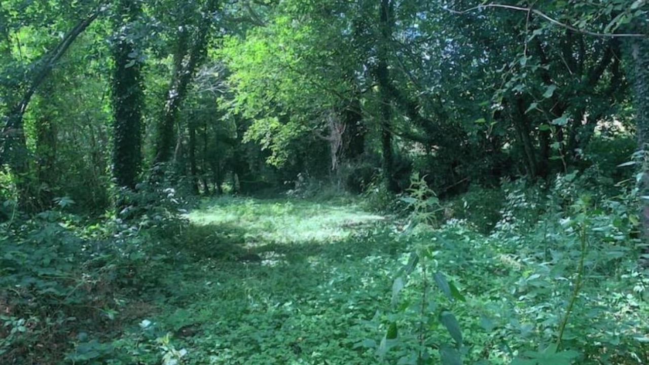 Photo of Outdoor in Marsac-sur-Don