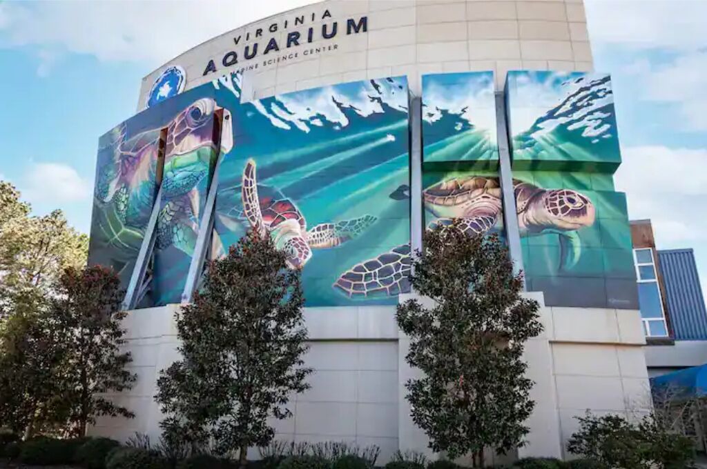 Photo of Outdoor in Virginia Beach