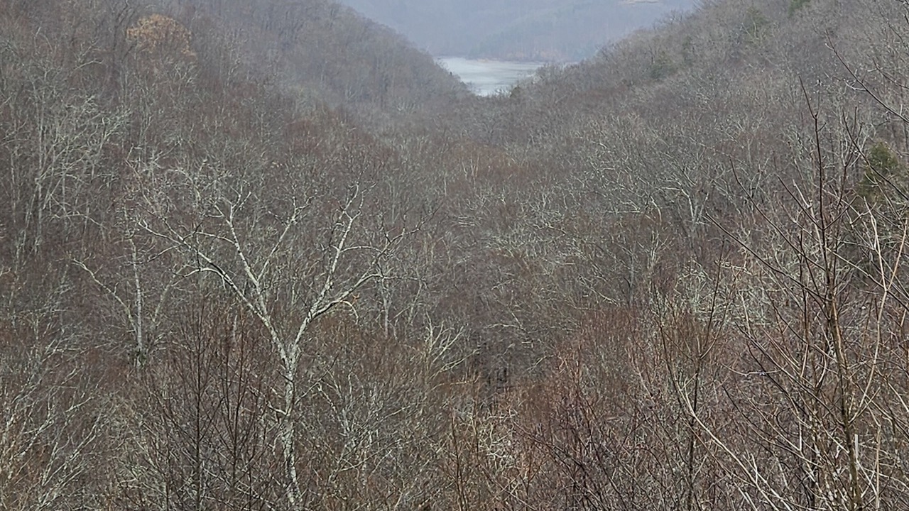 Photo of Others in Byrdstown