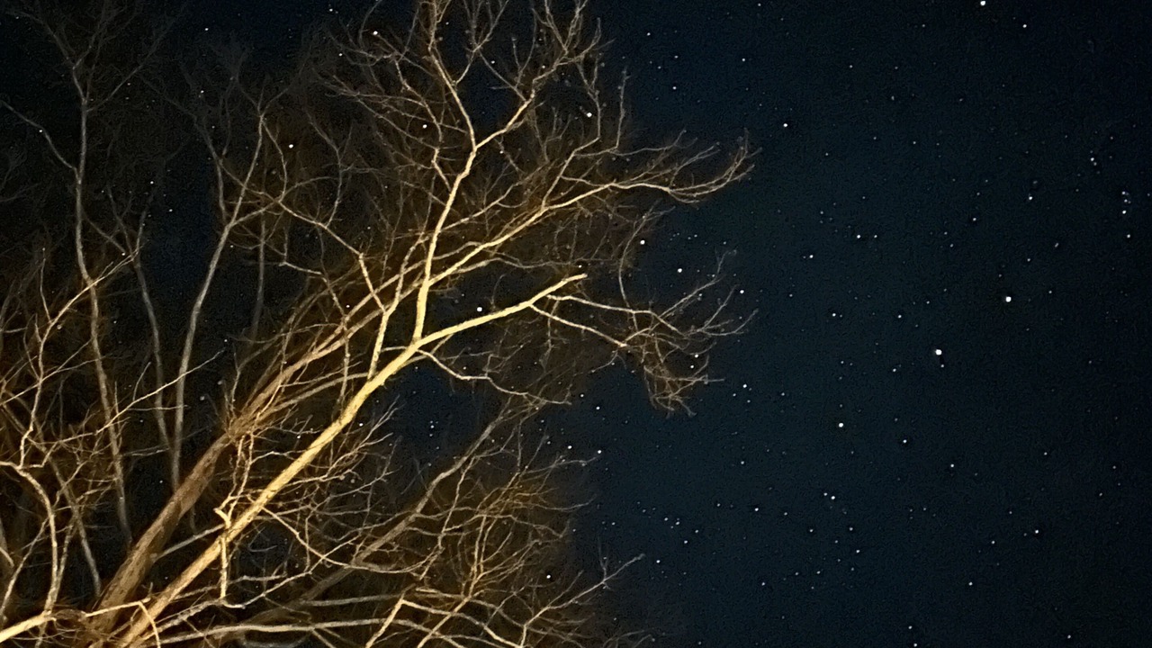 Photo of Outdoor in Morganton