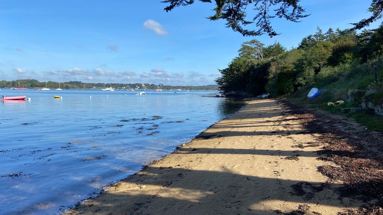 Photo of Others in Ile-aux-Moines