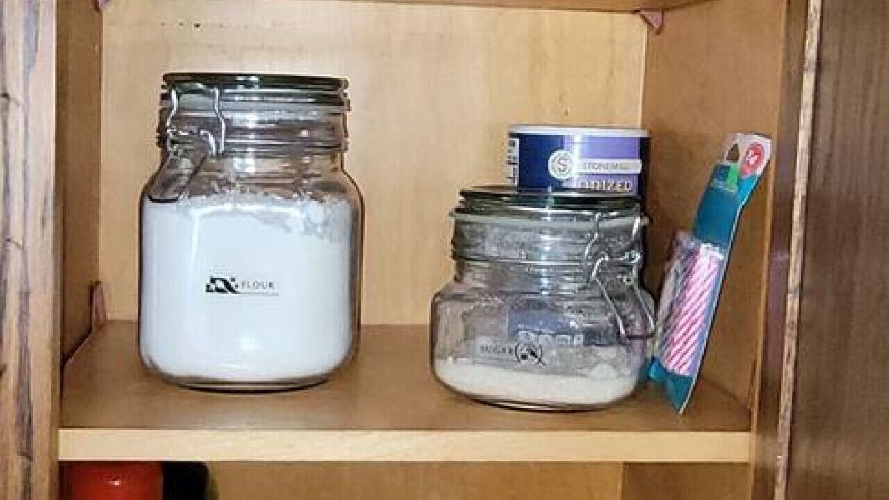 Photo of Others in Paradise