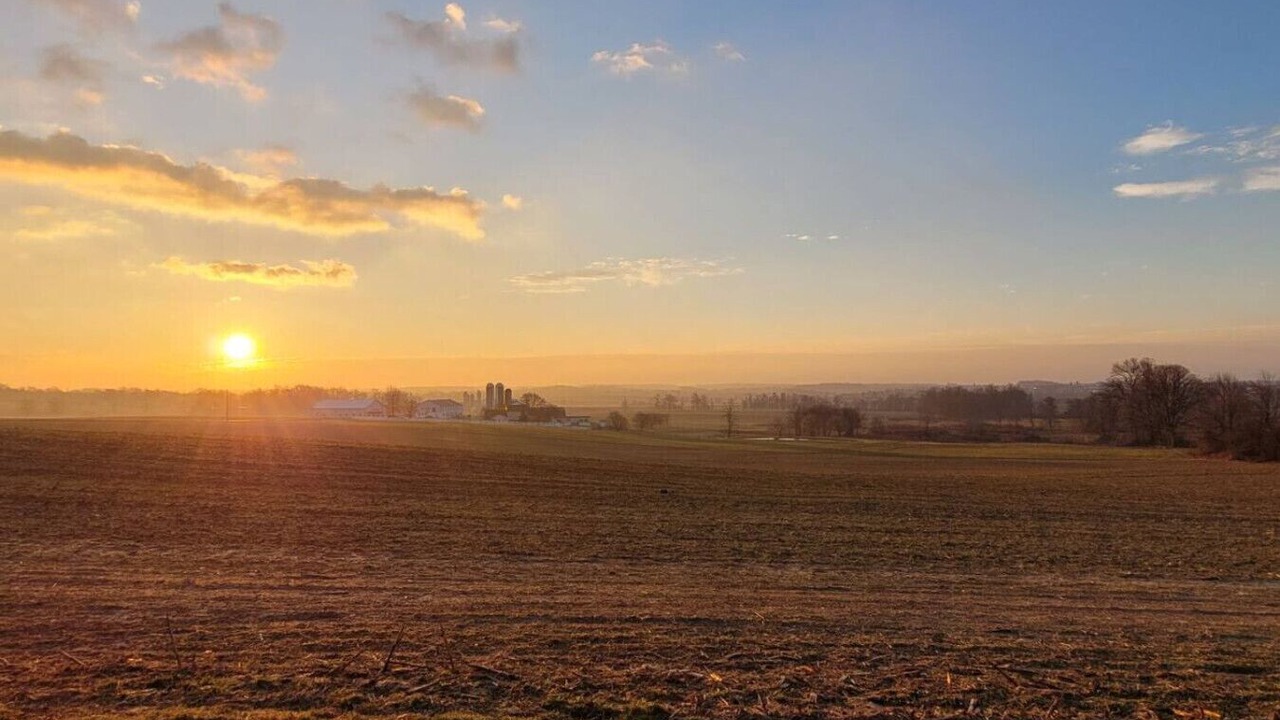 Photo of Others in Paradise