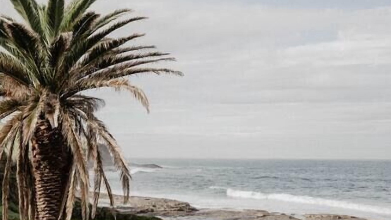 Photo of Outdoor in Gerroa