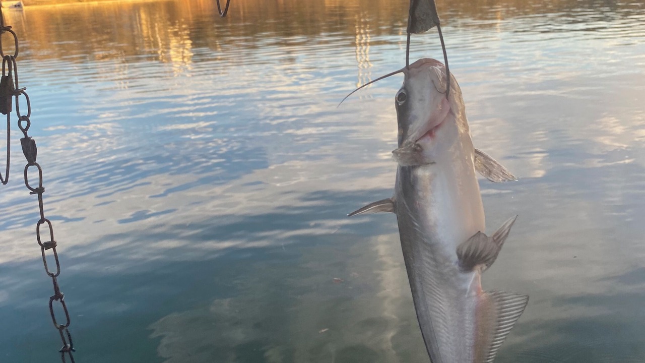 Photo of Others in Marble Falls