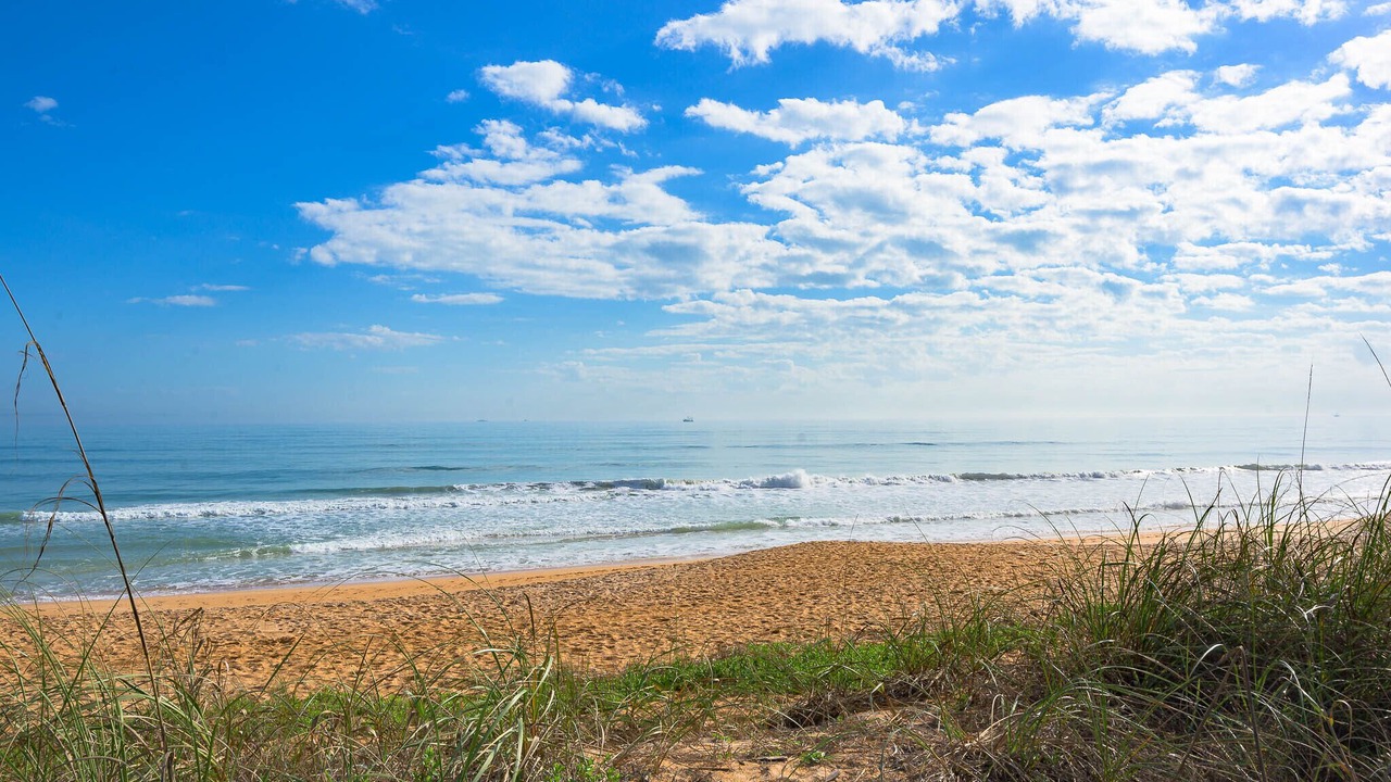 Photo of Others in Flagler Beach