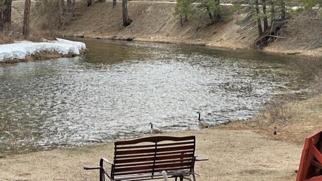 Photo of Others in Garden Valley