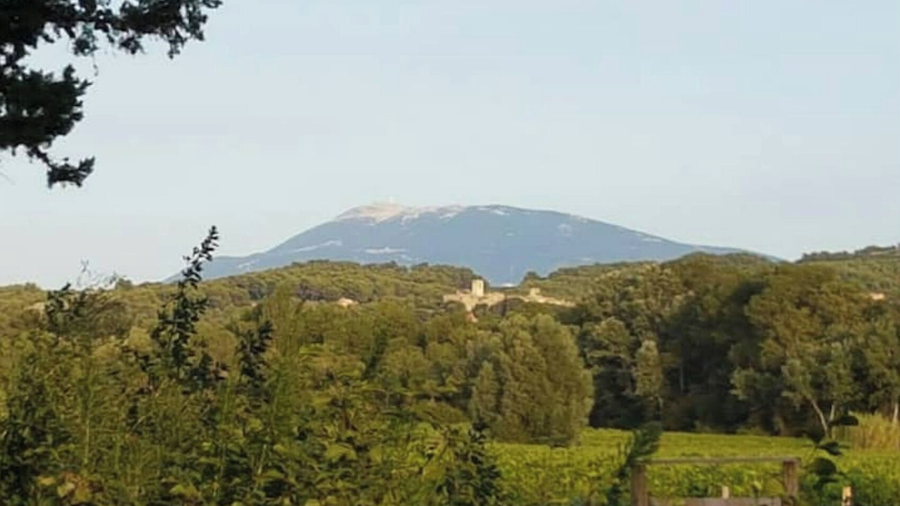 Photo of Others in Tulette