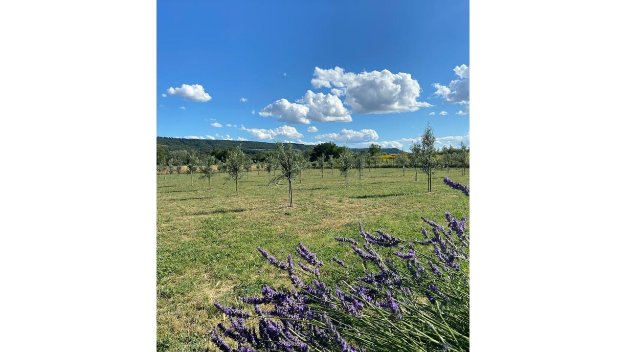 Photo of Outdoor in Tulette