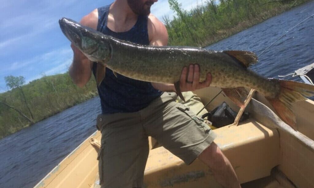 Photo of Others in Quinte West
