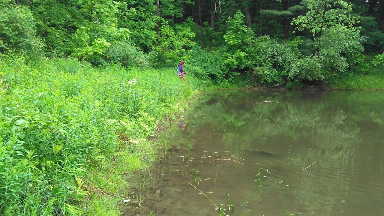 Photo of Others in Etna