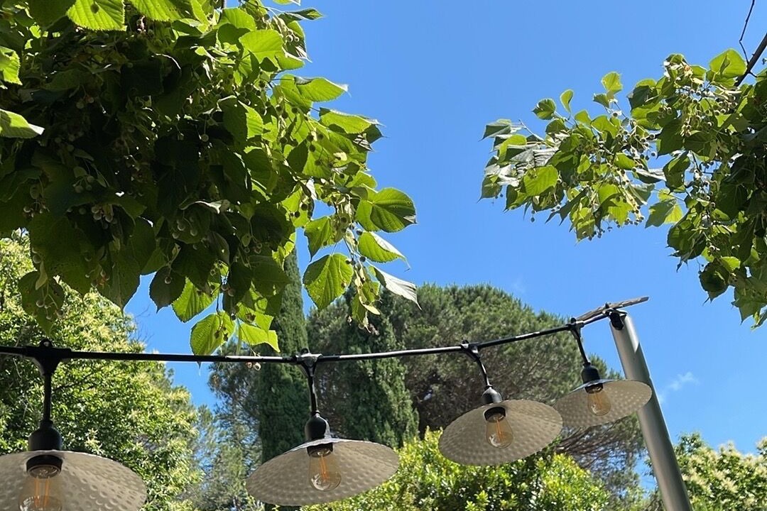 Photo of Outdoor in Colognac
