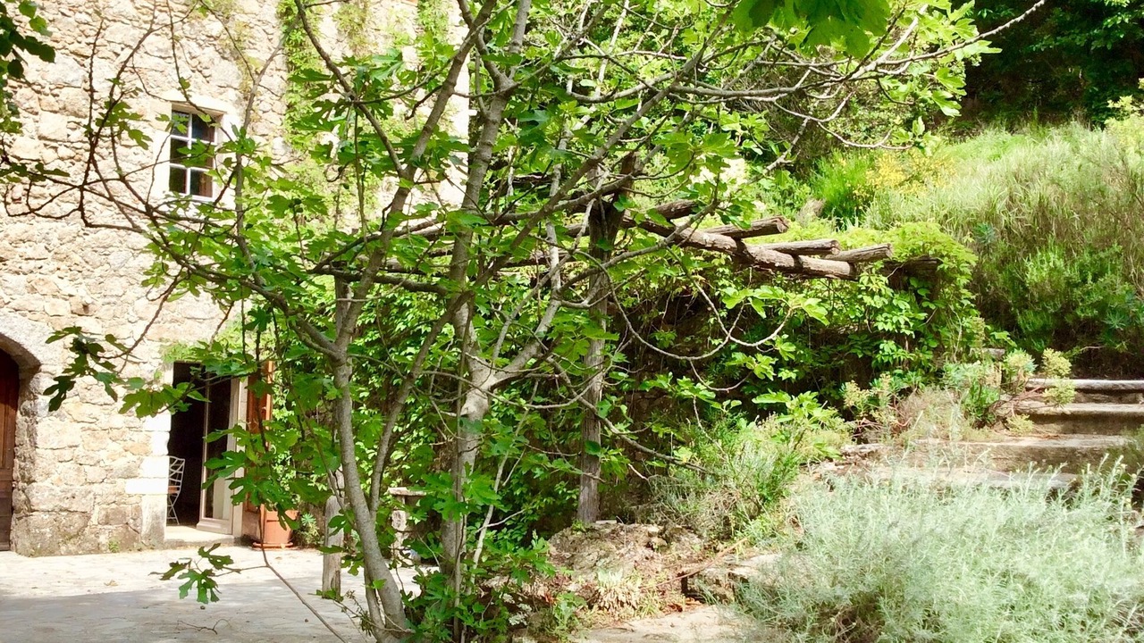 Photo of Outdoor in Colognac