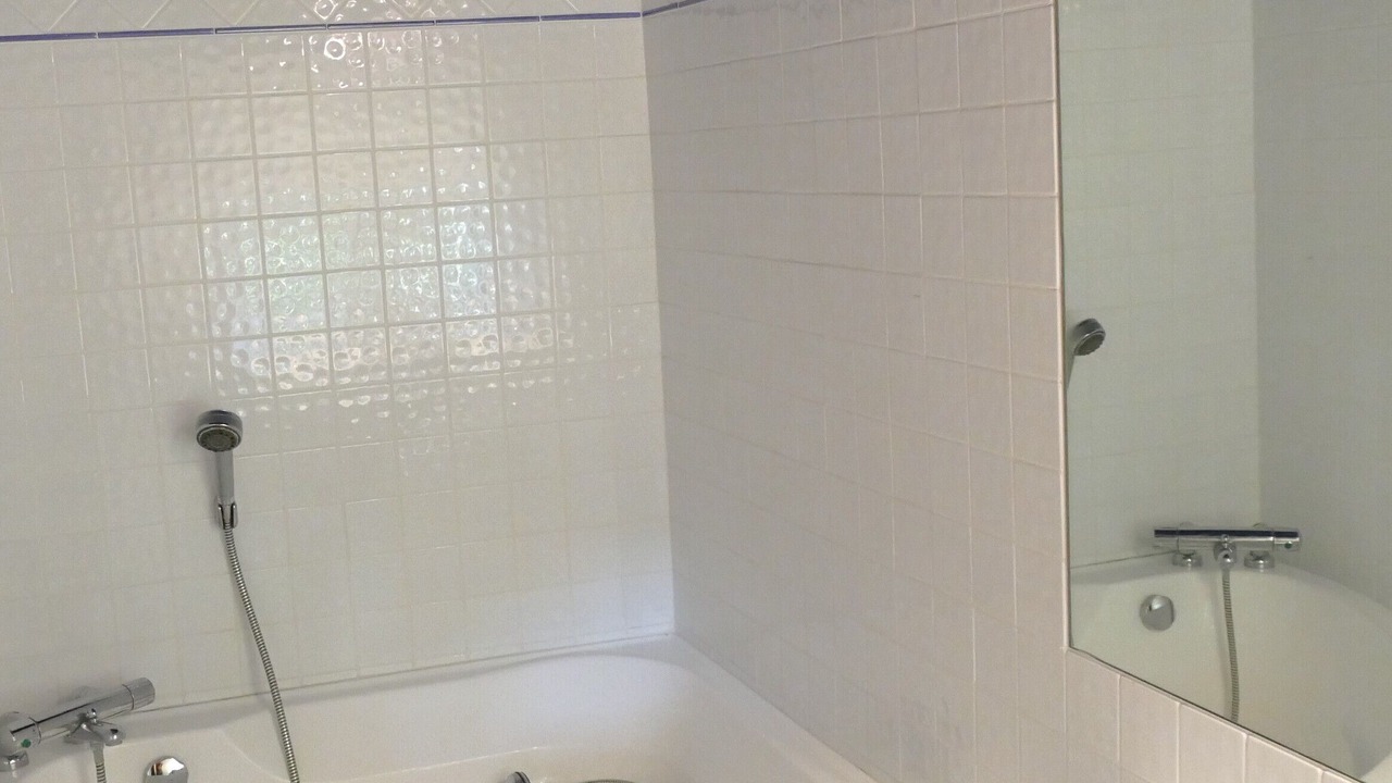 Photo of Bathroom in Colognac