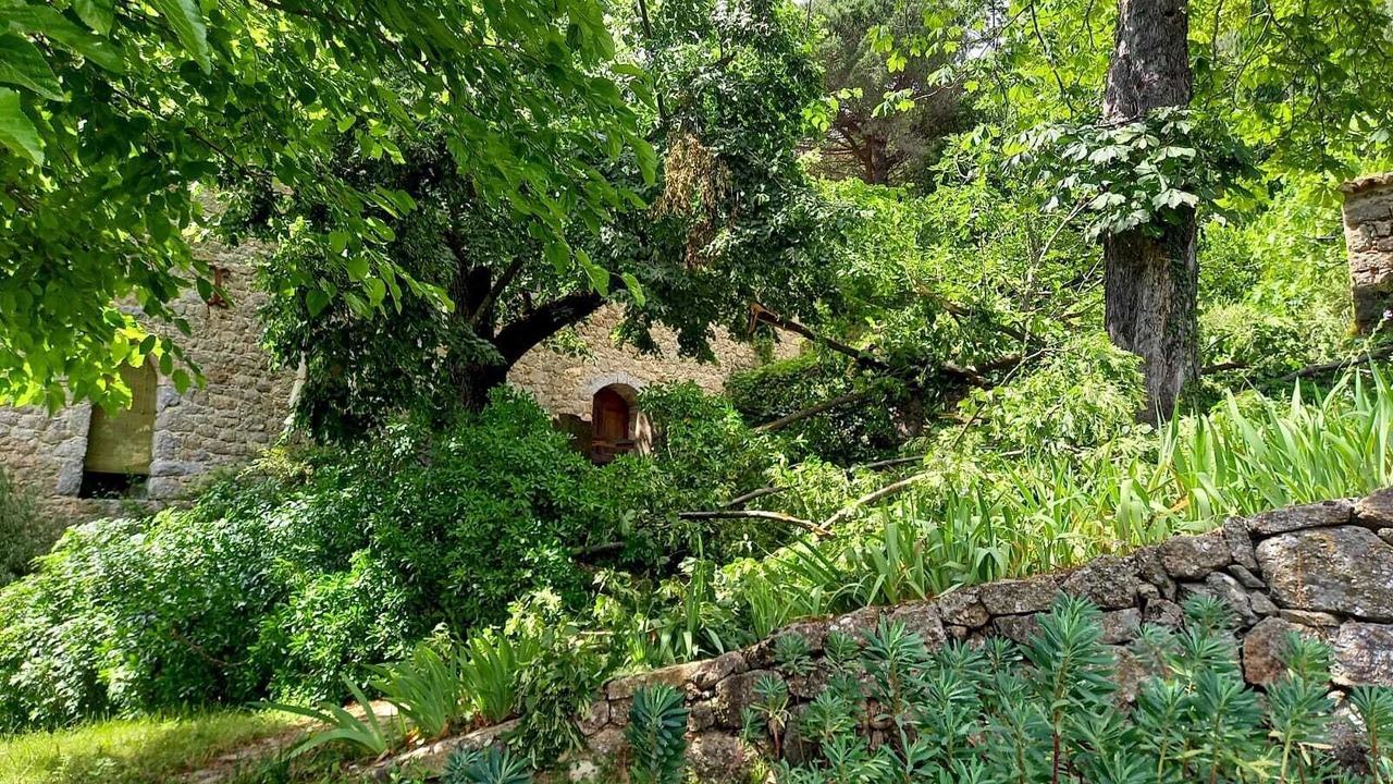 Photo of Outdoor in Colognac