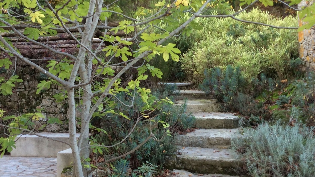 Photo of Outdoor in Colognac