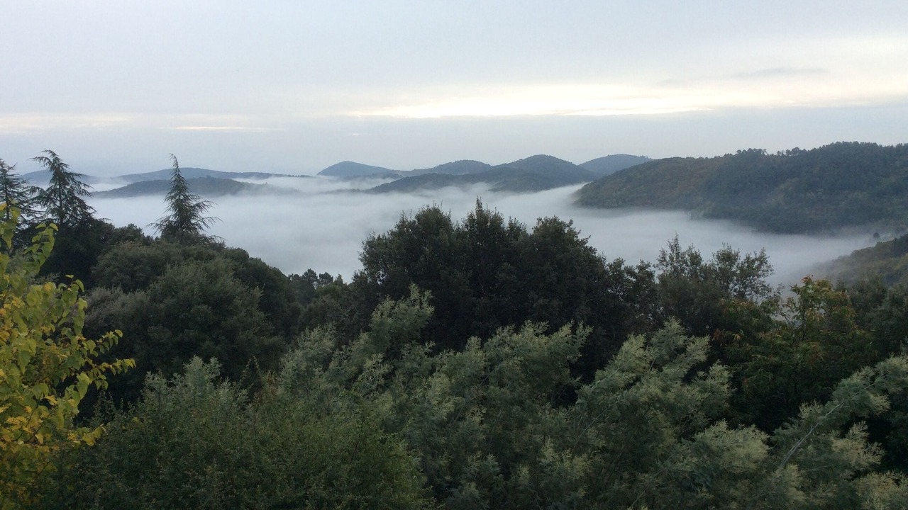 Photo of Outdoor in Colognac