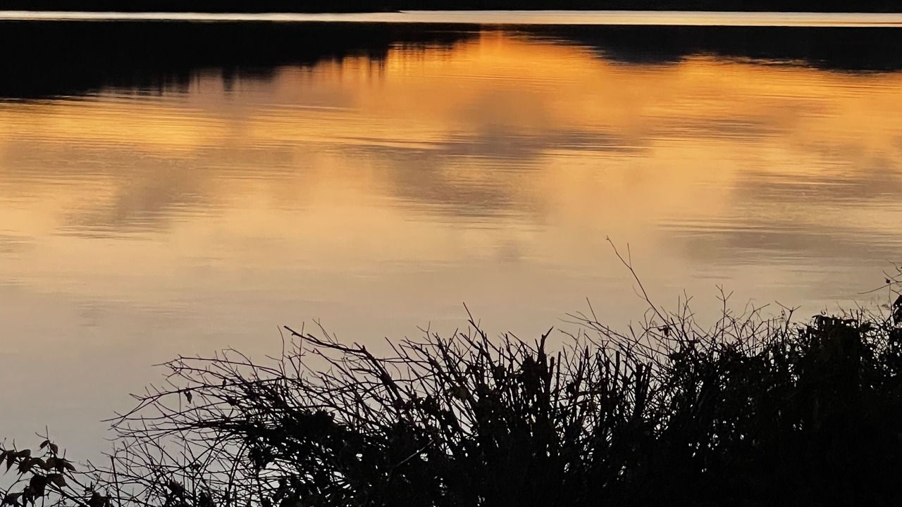 Photo of Others in Eagle Lake