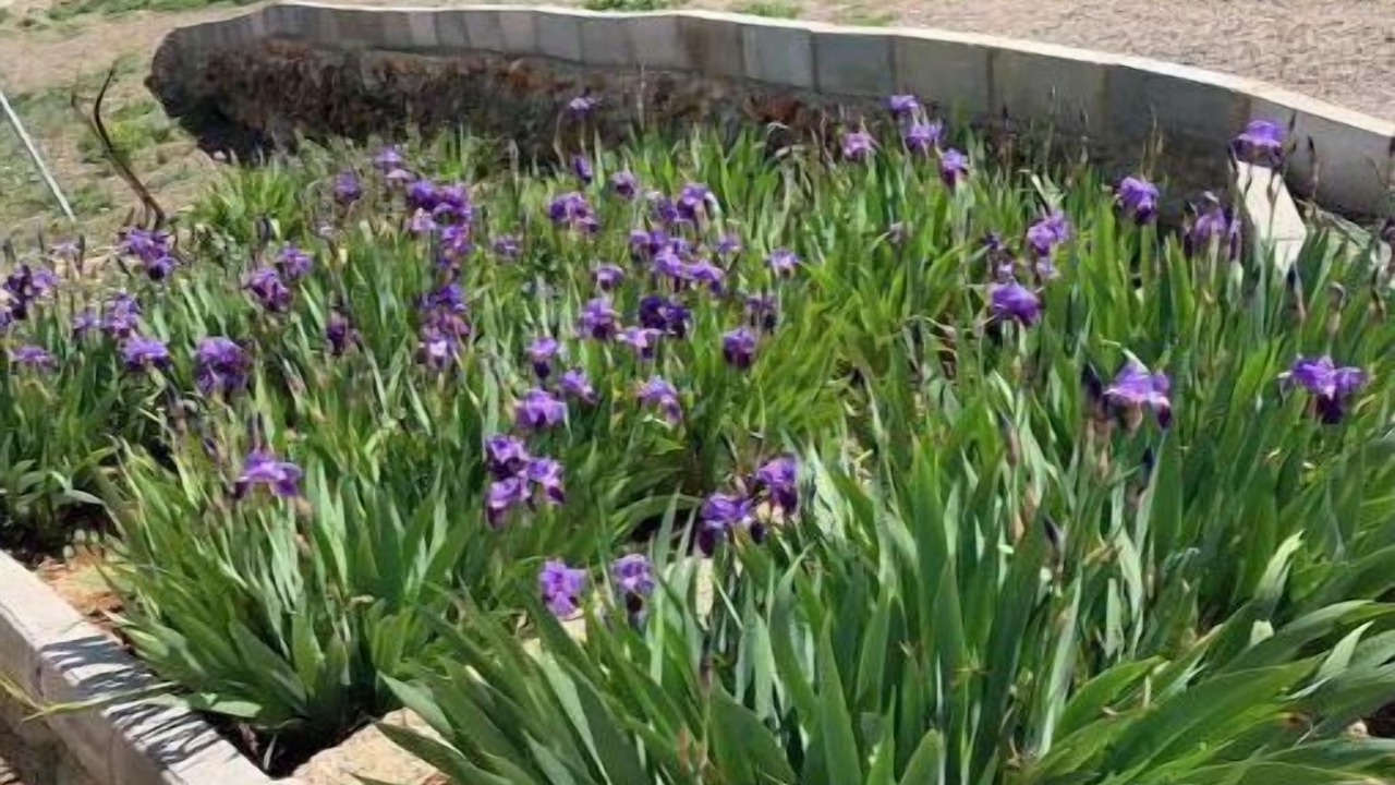 Photo of Outdoor in Siete Aguas