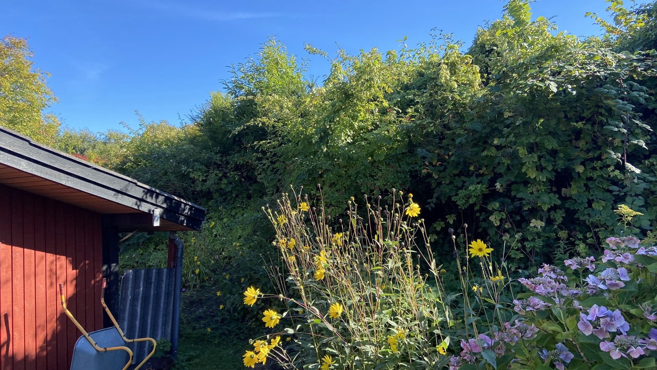 Photo of Outdoor in Hoeve Strand