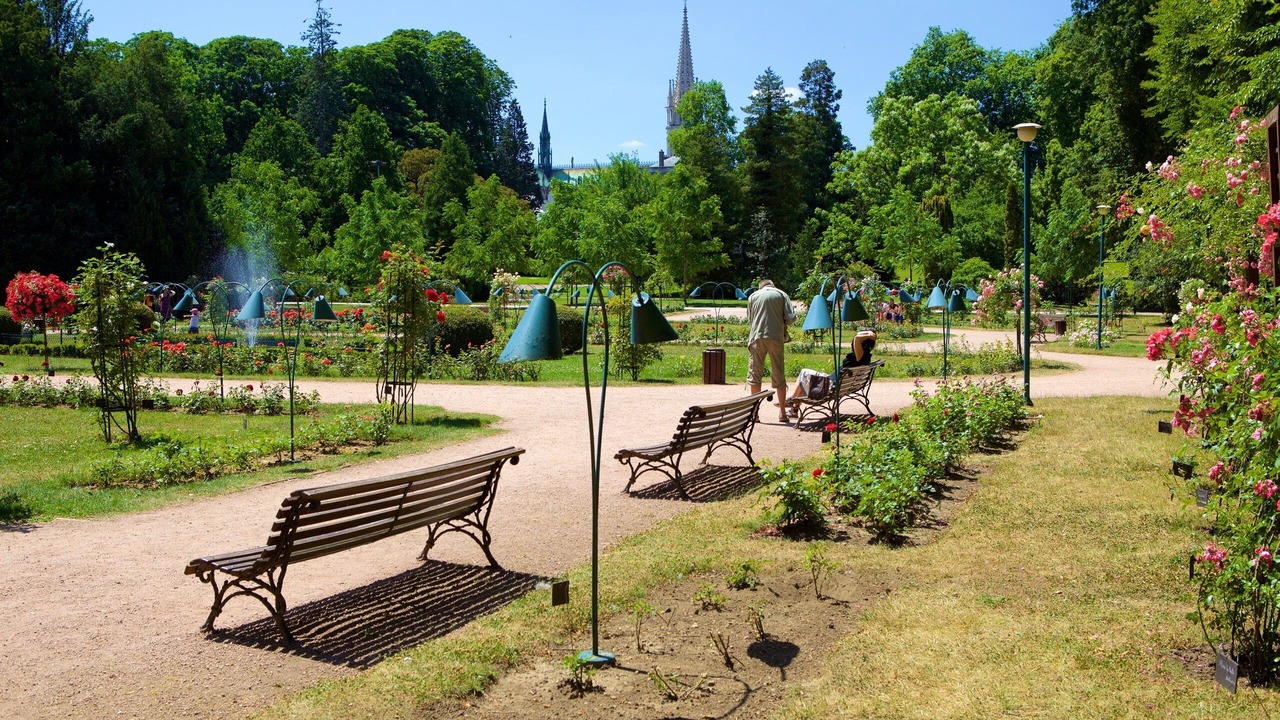 Photo of Outdoor in Haussonville-Blandan-Mon Desert-Saurupt