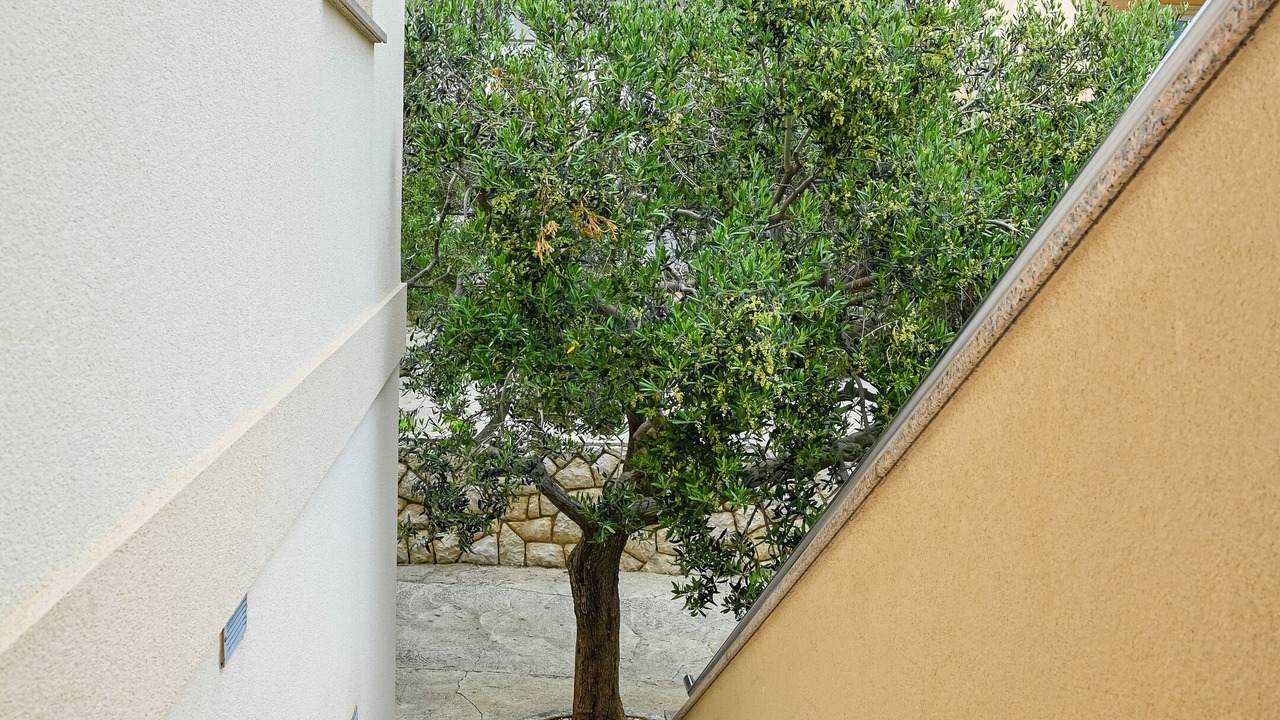 Photo of Outdoor in Novalja