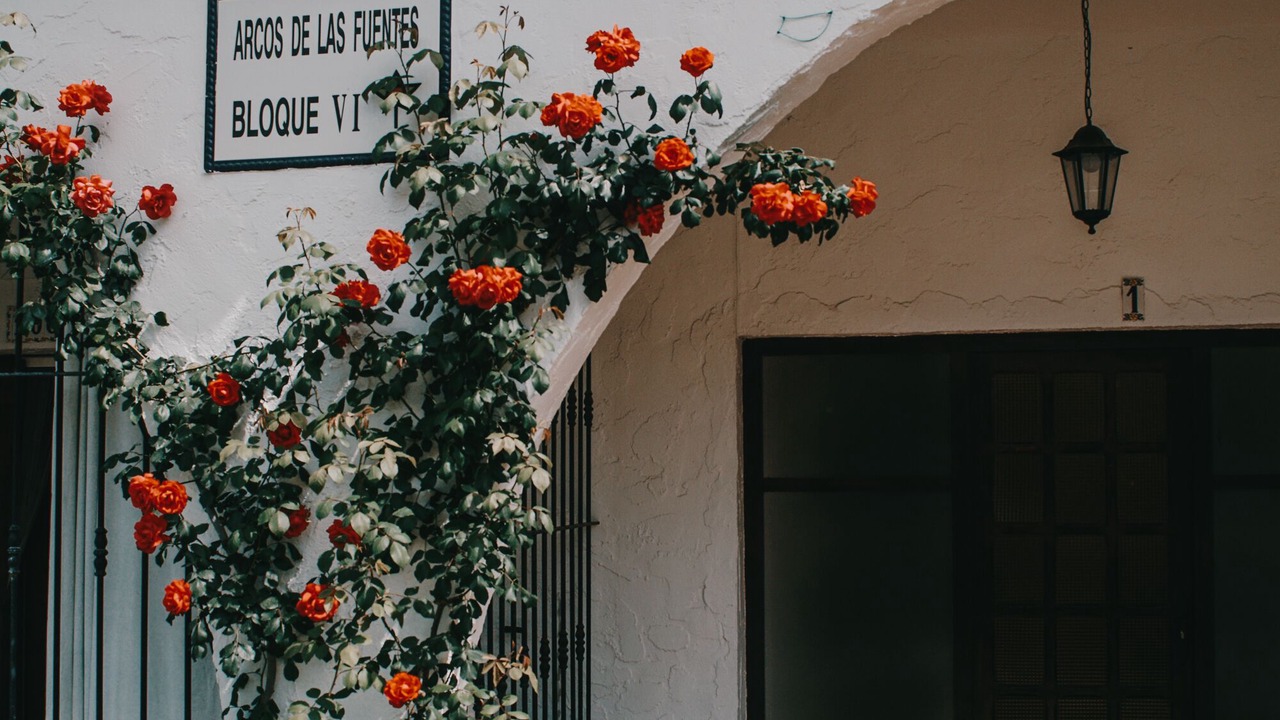 Photo of Outdoor in Alcossebre