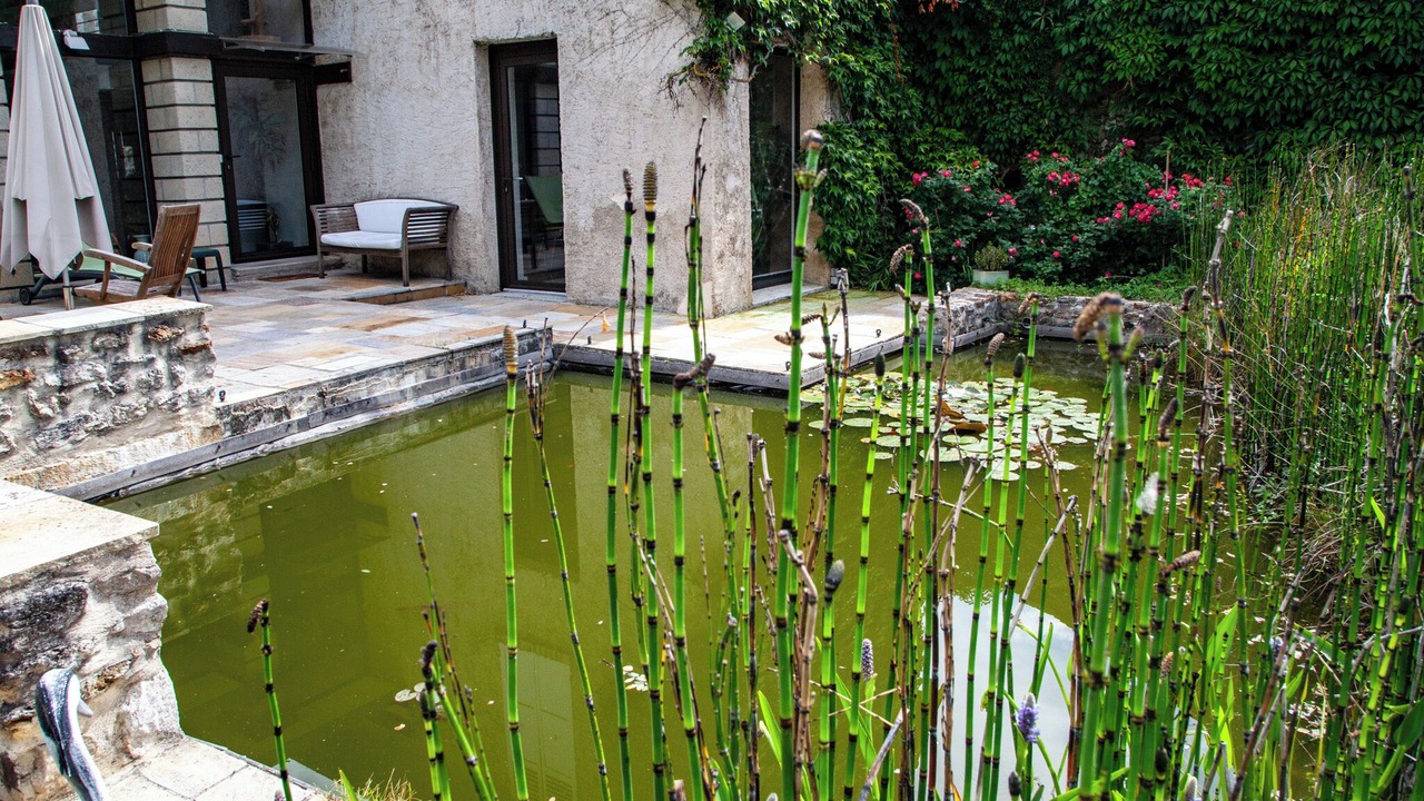 Photo of Outdoor in Chavenay