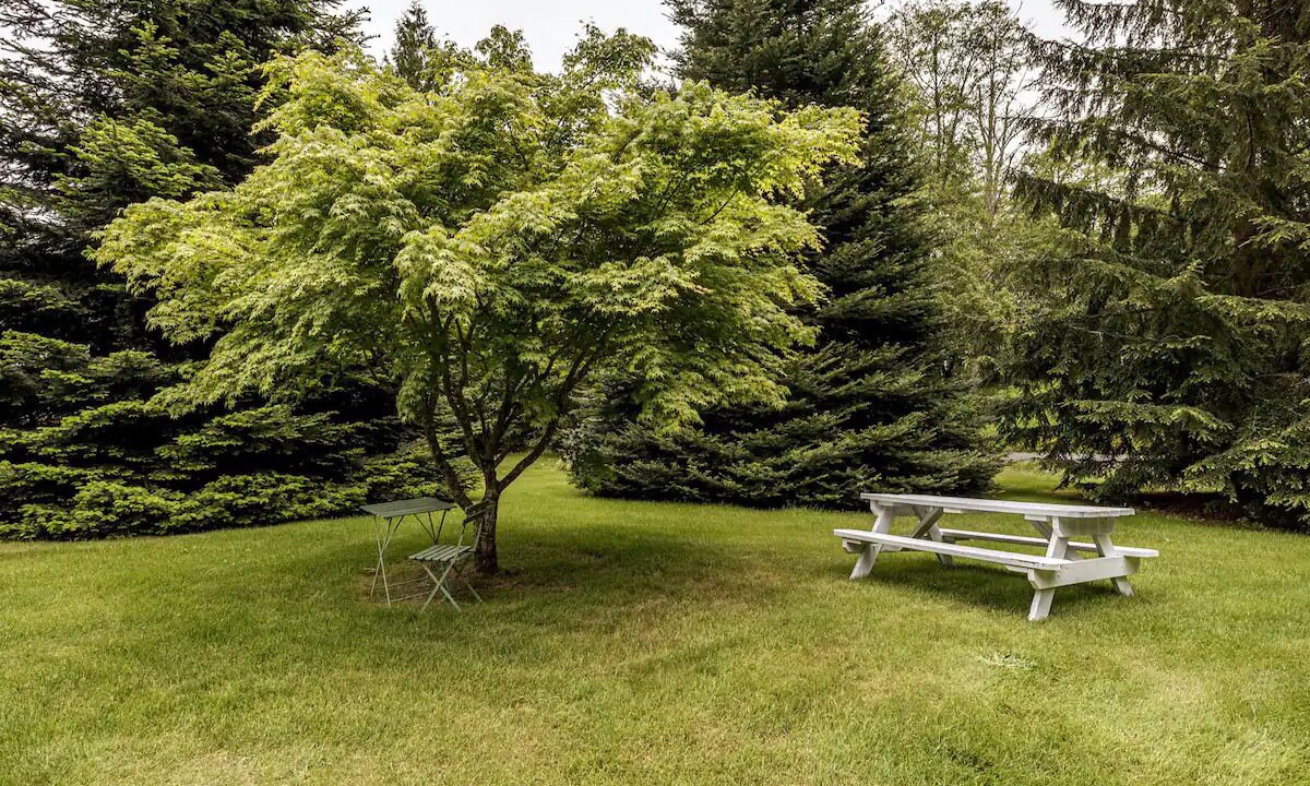 Photo of Outdoor in Sequim