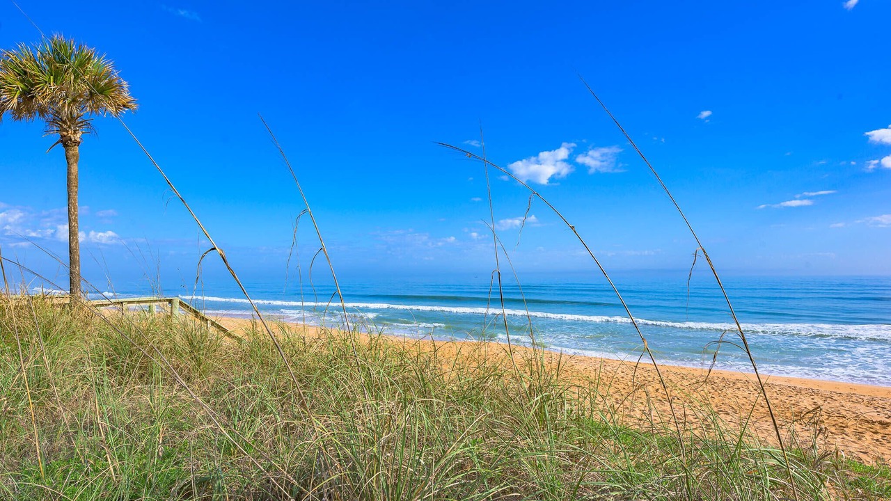 Photo of Others in Flagler Beach