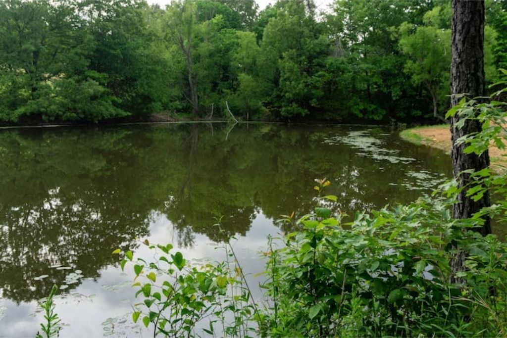 Photo of Others in Marshall