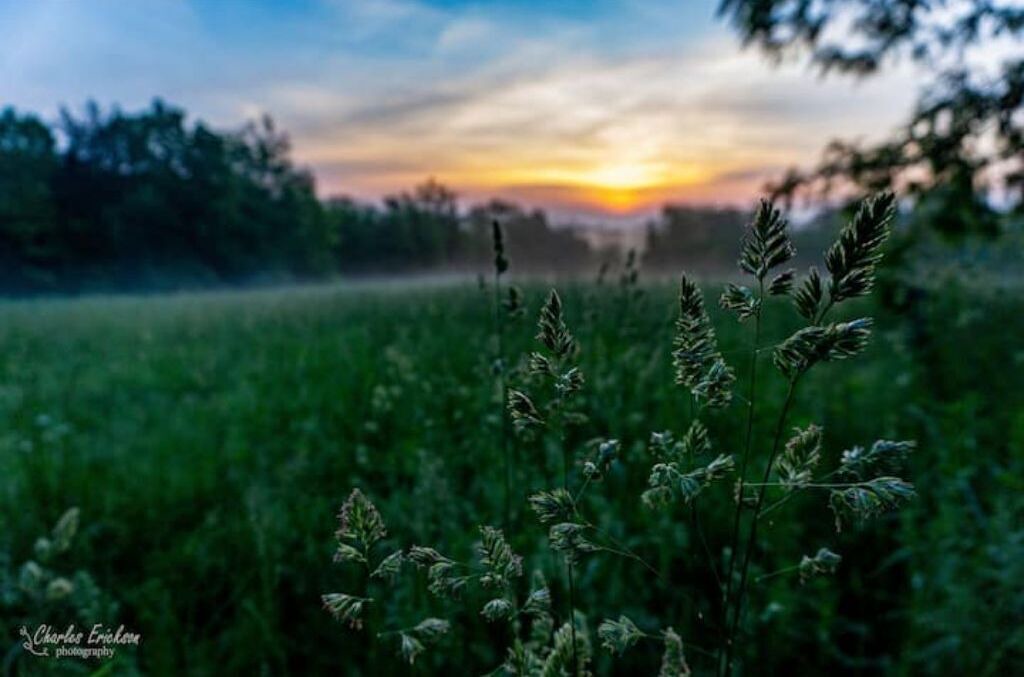Photo of Outdoor in Marshall