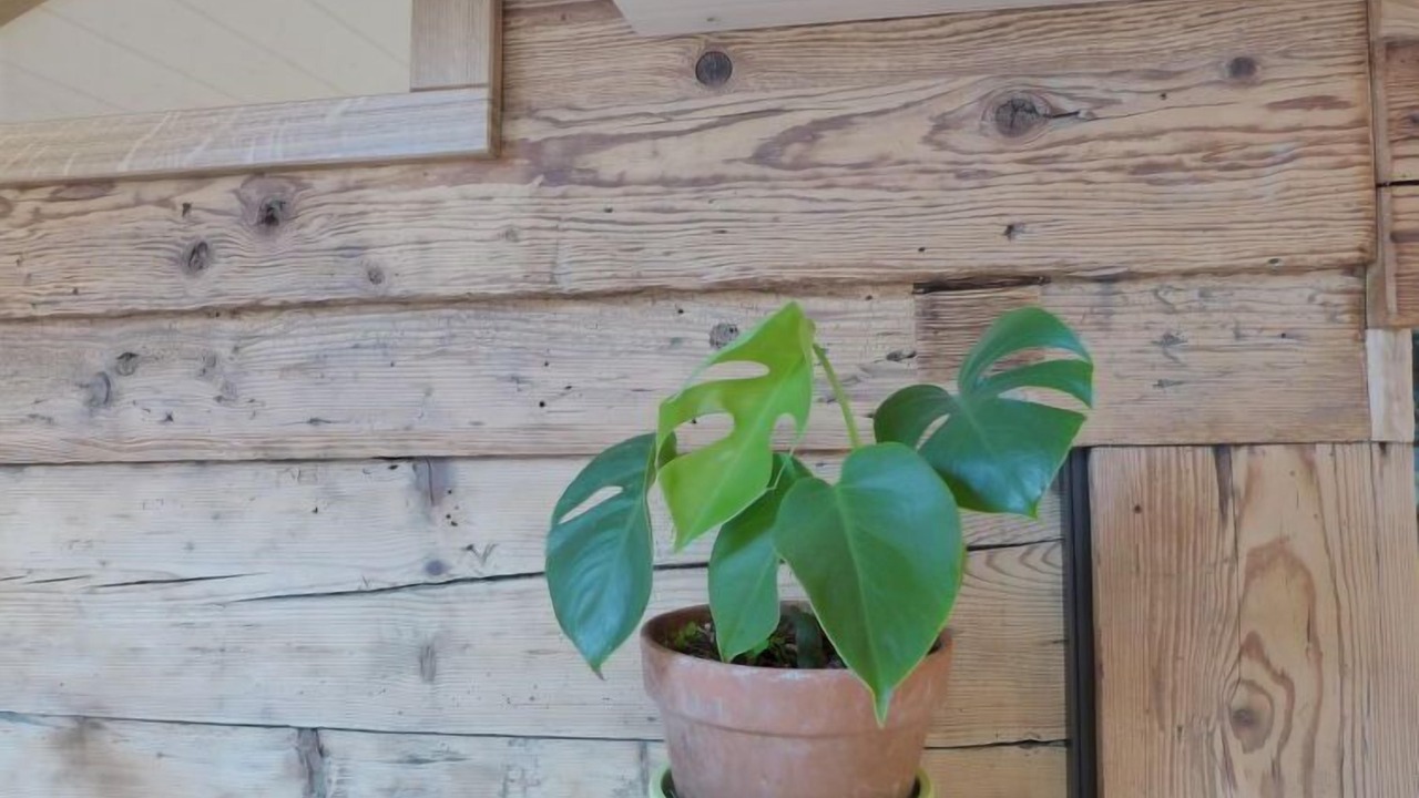 Photo of Others in Brienzwiler